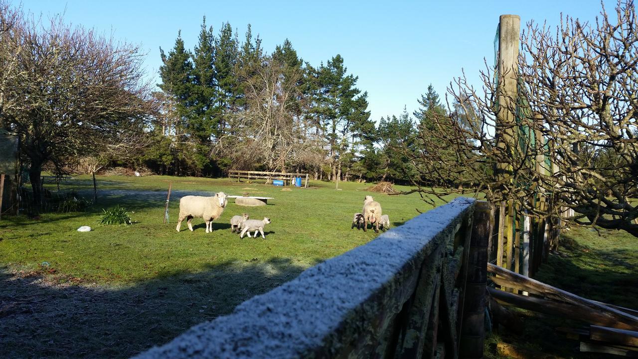 Bed and Breakfast Woodbury Farm à Takanini Extérieur photo